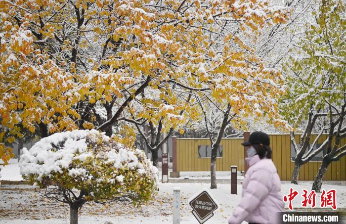 吉林多地迎初雪 秋冬交替景如画
