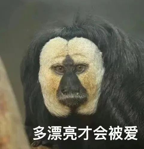 家人们！谁懂啊？！再度“丑”上热搜！