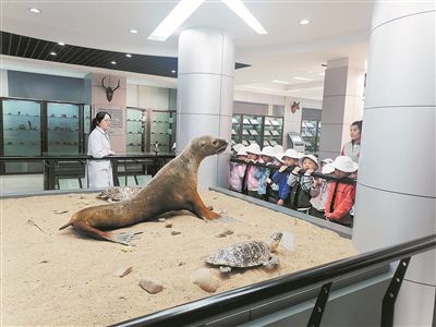 创新科普方式 点燃科学梦想