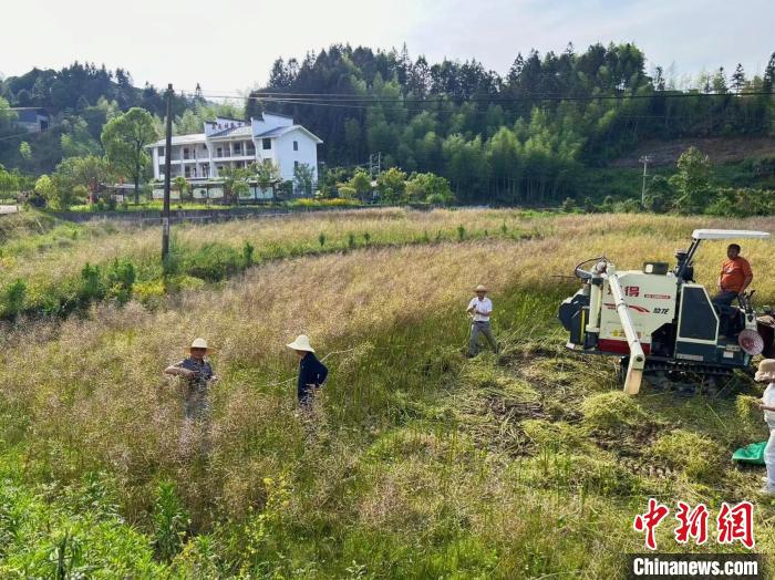 乡约福建：巧让“闲田”变“宝地”