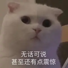 大家对女朋友单独和异性朋友见面吃饭有什么看法