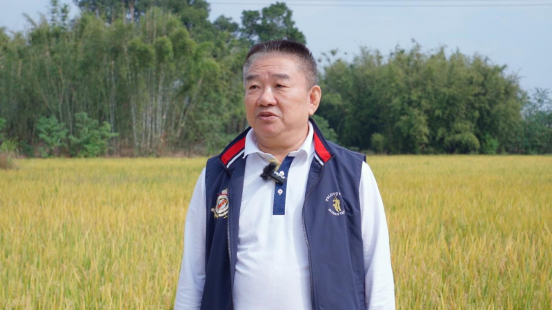 乡村振兴|“发丫红”清远试验田丰收有“粮”方