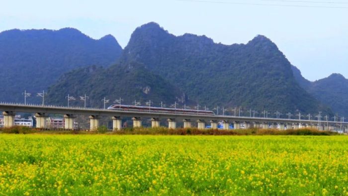 广西三月三、清明双节假期车票买不到？国铁南宁局增开千余趟列车